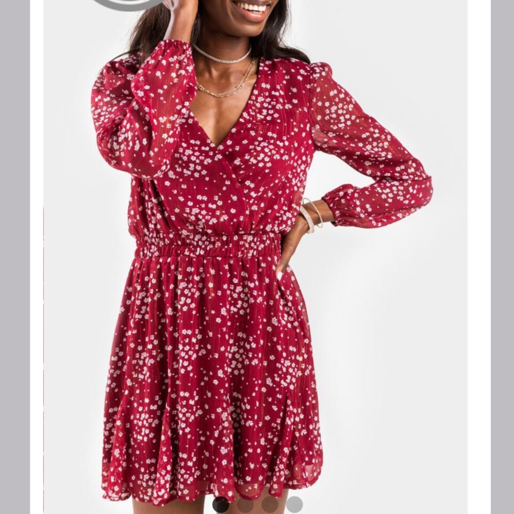 New Francesca’s Juliet Floral Maroon Mini Dress Size XXS